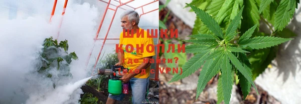 дживик Белокуриха