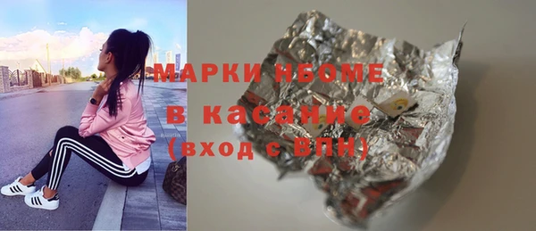 шишки Белоозёрский