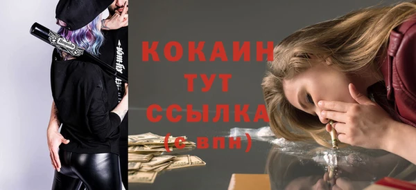 дживик Белокуриха