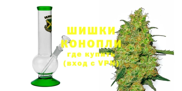 дживик Белокуриха