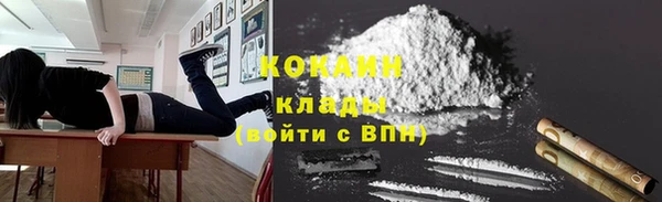 дживик Белокуриха