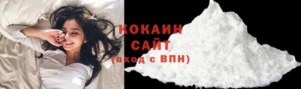 дживик Белокуриха
