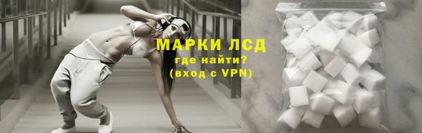 шишки Белоозёрский