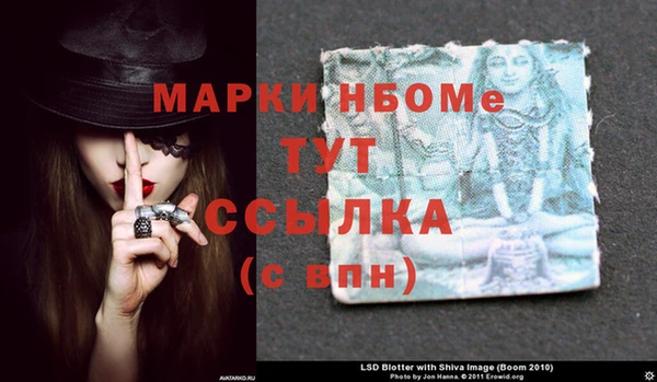 шишки Белоозёрский