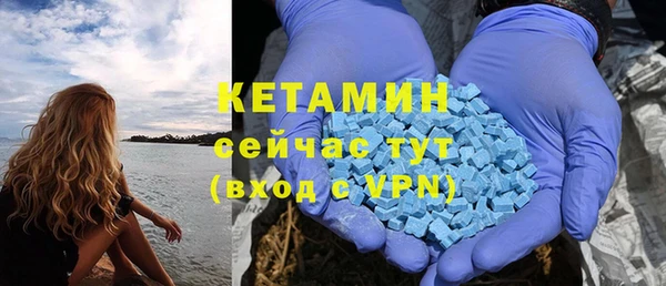 шишки Белоозёрский